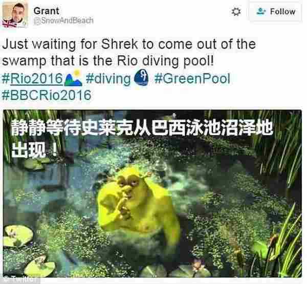 里约奥运会水池变绿怎么回事 2016里约奥运会跳水池变绿原因