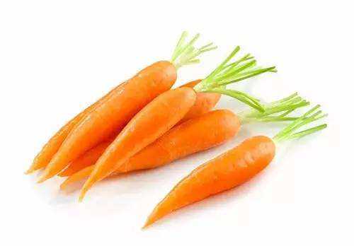 胡萝卜是营养品 怎么才能正确挑选_胡萝卜怎么挑选_胡萝卜的营养价值-