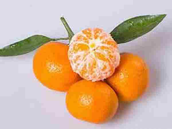 吃橘子不上火 营养丰富还美味_橘子有什么功效_橘子有哪些吃法-
