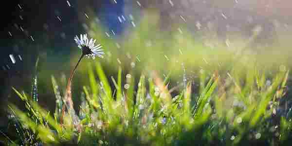 春季最后一个节气：谷雨养生有三招|谷雨|24节气|肝脏