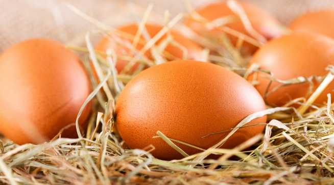 鸡蛋最营养吃法排行榜|鸡蛋|心脏