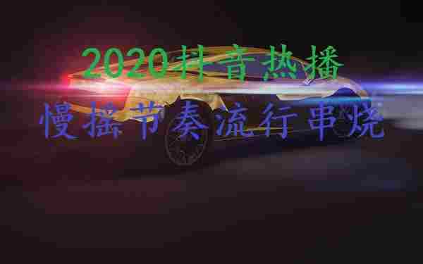 [华语专辑] 2020抖音热播中文国语慢摇节奏流行串烧(孤芳自赏vs芒种vs野狼Disco)[320KB]