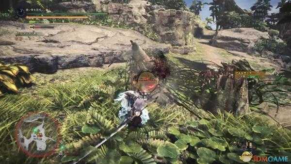 《怪物猎人：世界》搔鸟打法心得 搔鸟怎么打