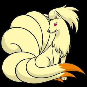 《宝可梦:剑/盾》九尾63单打配招