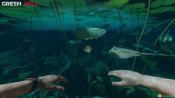 《绿色地狱》有毒伤口危害及解决方法分享