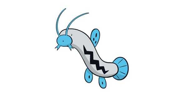 《宝可梦:剑/盾》铠之孤岛泥泥鳅图鉴