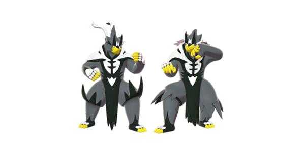 《宝可梦:剑/盾》铠之孤岛武道熊师图鉴