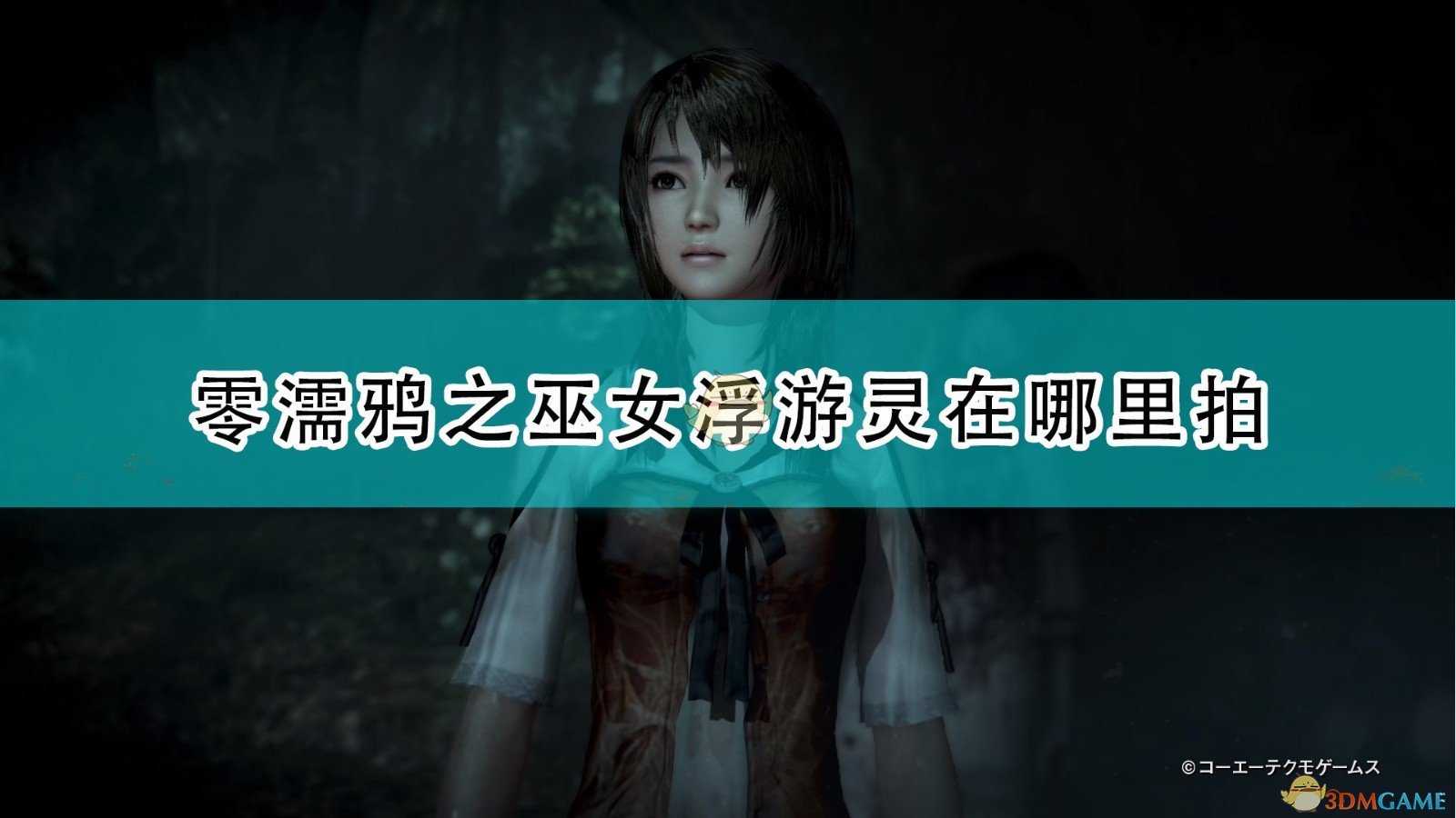 《零:濡鸦之巫女》全浮游灵拍摄位置介绍