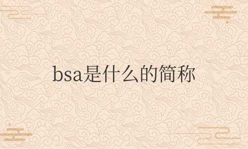 汽车仪表上bsa是什么意思