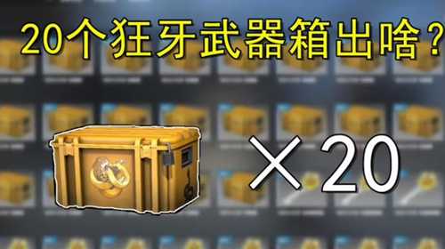 csgo回本率最高的箱子