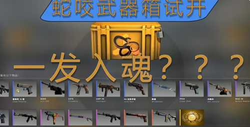 csgo回本率最高的箱子