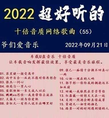 群星《2022超好听的十倍音质网络歌曲（55）》WAV分轨