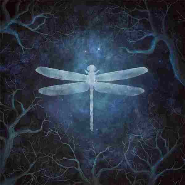 【新世纪电子】Amethystium-2020-Odonata(20thAnniversaryEdition)24Bit(FLAC)