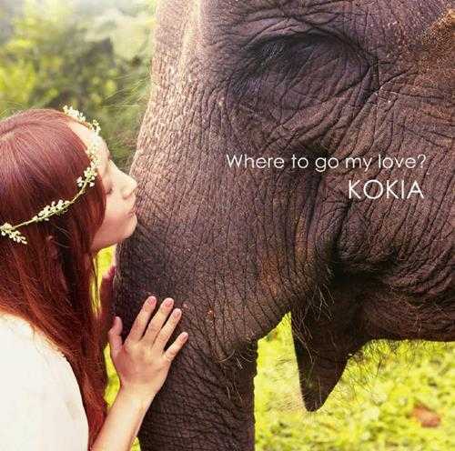 KOKIA-Wheretogomylove_(2013Remaster2014)[24bit96kHzFLAC]