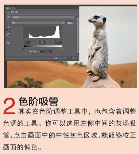 Photoshop CS6教你在JPEG文件格式下进行色彩校正