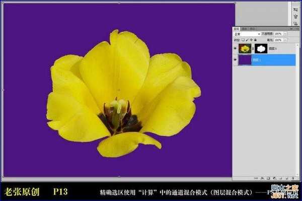 Photoshop通过计算命令无限改变花的颜色图文教程