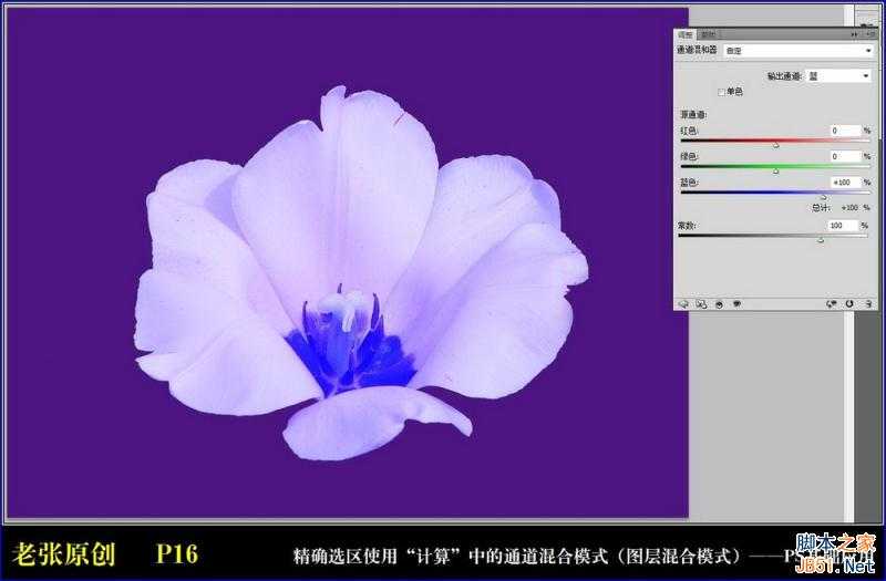 Photoshop通过计算命令无限改变花的颜色图文教程