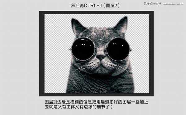 Photoshop使用通道给黑色猫咪抠图