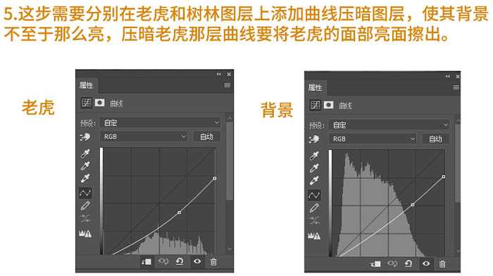 PS合成夜色中的女孩提着灯笼和巨型老虎对视场景