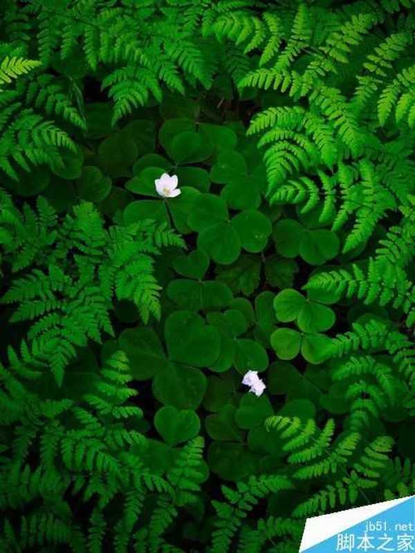 风景摄影的简单教程和技巧