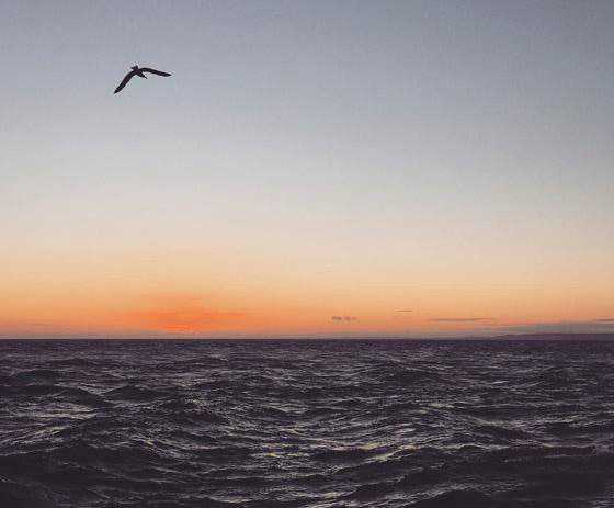 如何成为手机摄影达人?成为手机摄影达人的7个训练方法