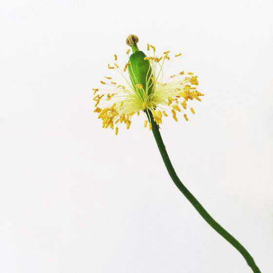 如何成为手机摄影达人?成为手机摄影达人的7个训练方法