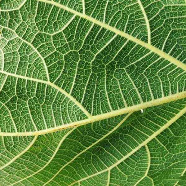 如何成为手机摄影达人?成为手机摄影达人的7个训练方法