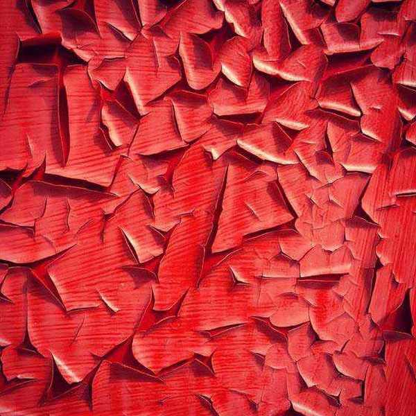 如何成为手机摄影达人?成为手机摄影达人的7个训练方法