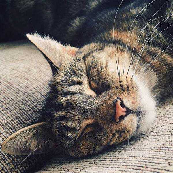 如何成为手机摄影达人?成为手机摄影达人的7个训练方法