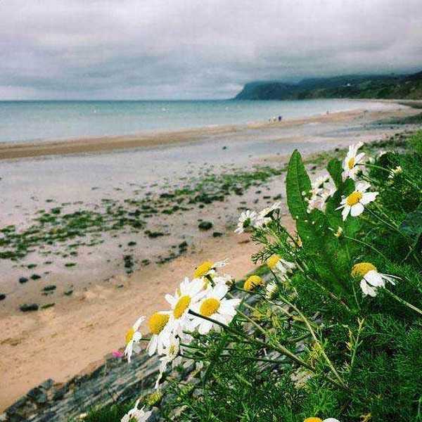 如何成为手机摄影达人?成为手机摄影达人的7个训练方法