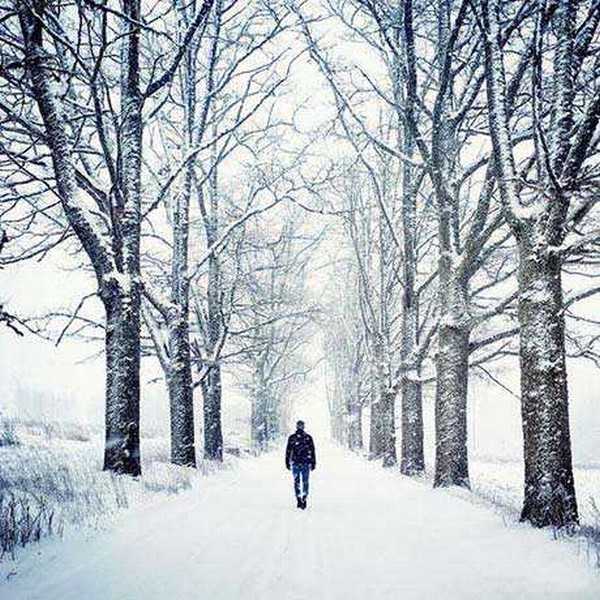 如何成为手机摄影达人?成为手机摄影达人的7个训练方法