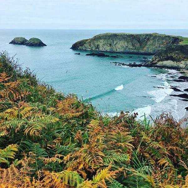 如何成为手机摄影达人?成为手机摄影达人的7个训练方法