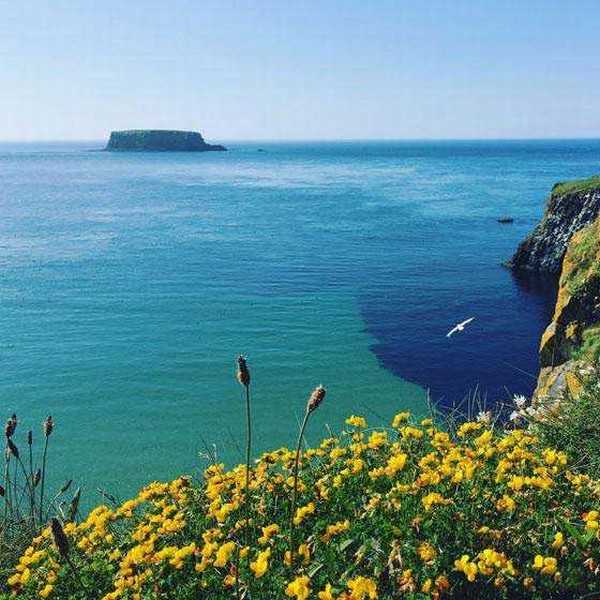 如何成为手机摄影达人?成为手机摄影达人的7个训练方法