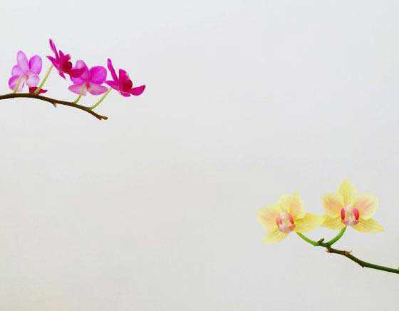 如何成为手机摄影达人?成为手机摄影达人的7个训练方法