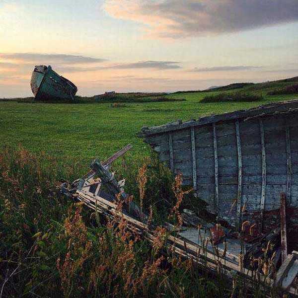 如何成为手机摄影达人?成为手机摄影达人的7个训练方法