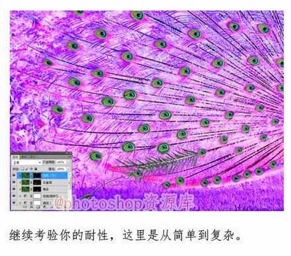 PS怎么抠出绿孔雀?PS详解开屏的绿孔雀抠图教程