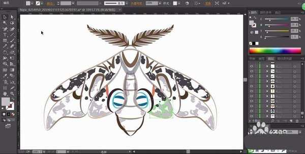 ai怎么手绘飞蛾矢量图? ai画飞蛾的教程